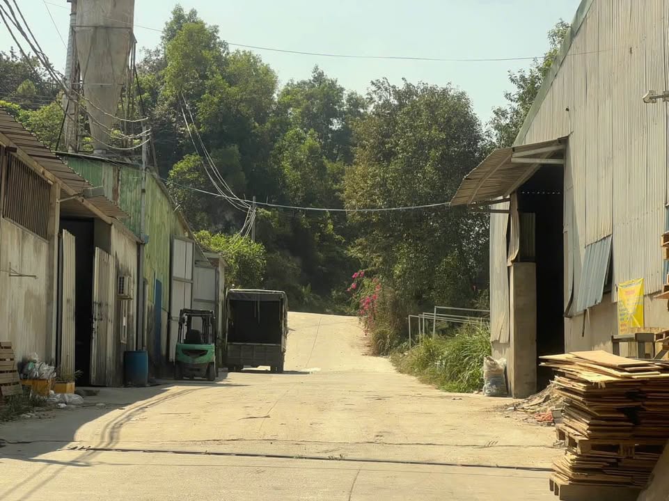 Kho xưởng Cụm CN Thiện Tân 800m² - Container thoải mái!