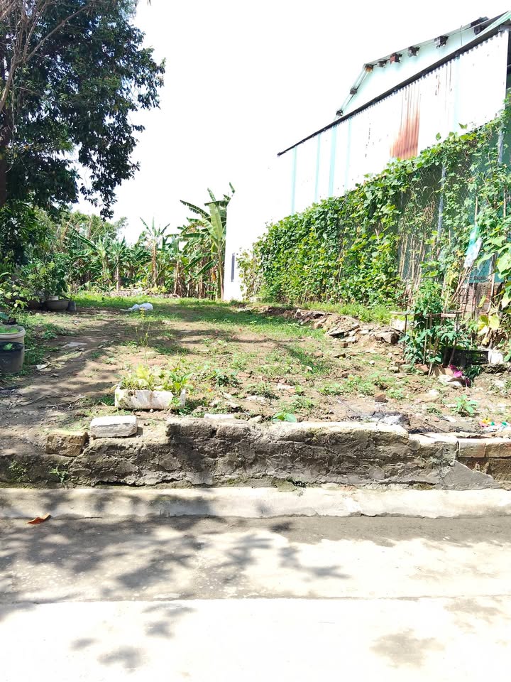 Đất nền Ái Nghĩa, Đại Lộc 230m² - Đường to ô tô, tiềm năng lớn!