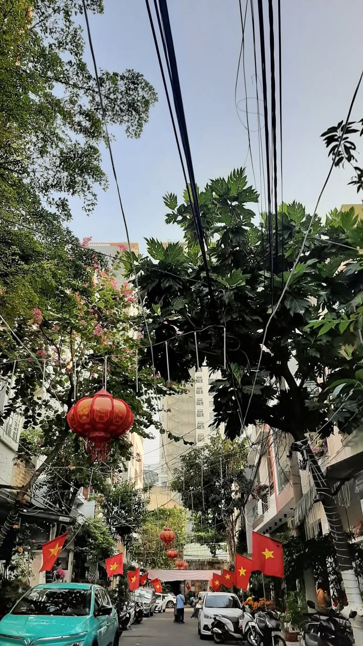 Nhà Mặt Tiền Hải Châu 85m² - Kinh Doanh Sầm Uất - 10.8 Tỷ