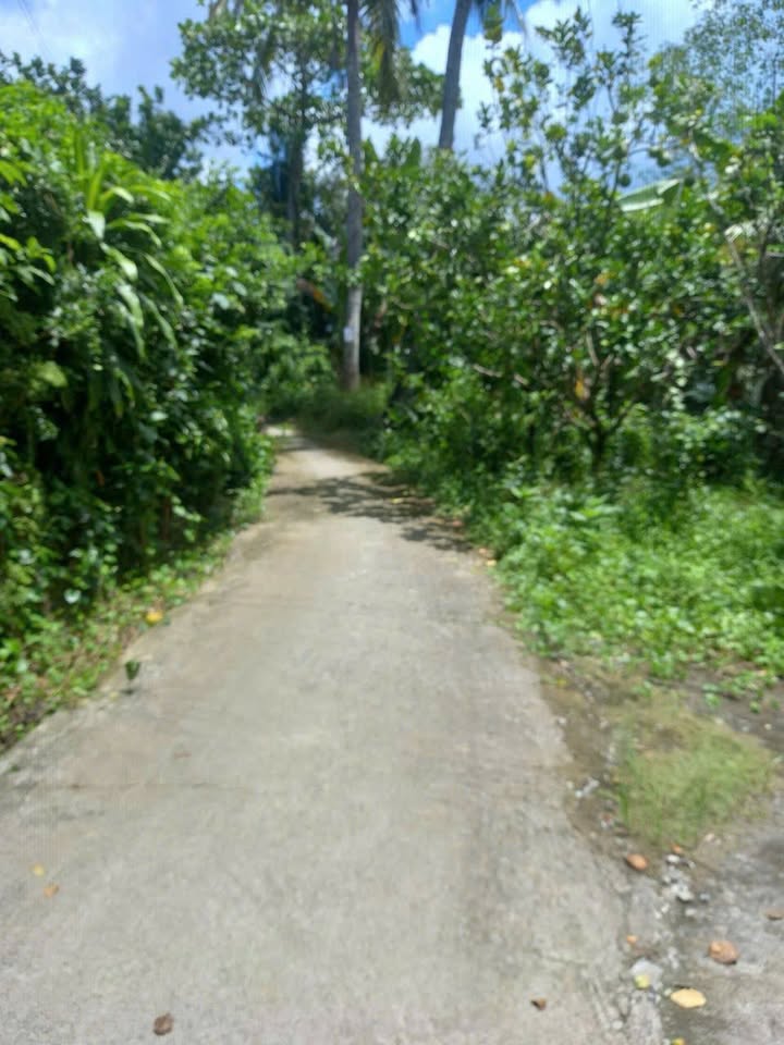 Nhà riêng Thới Thạnh, Thạnh Phú 417m² - Giá tốt hiếm có!