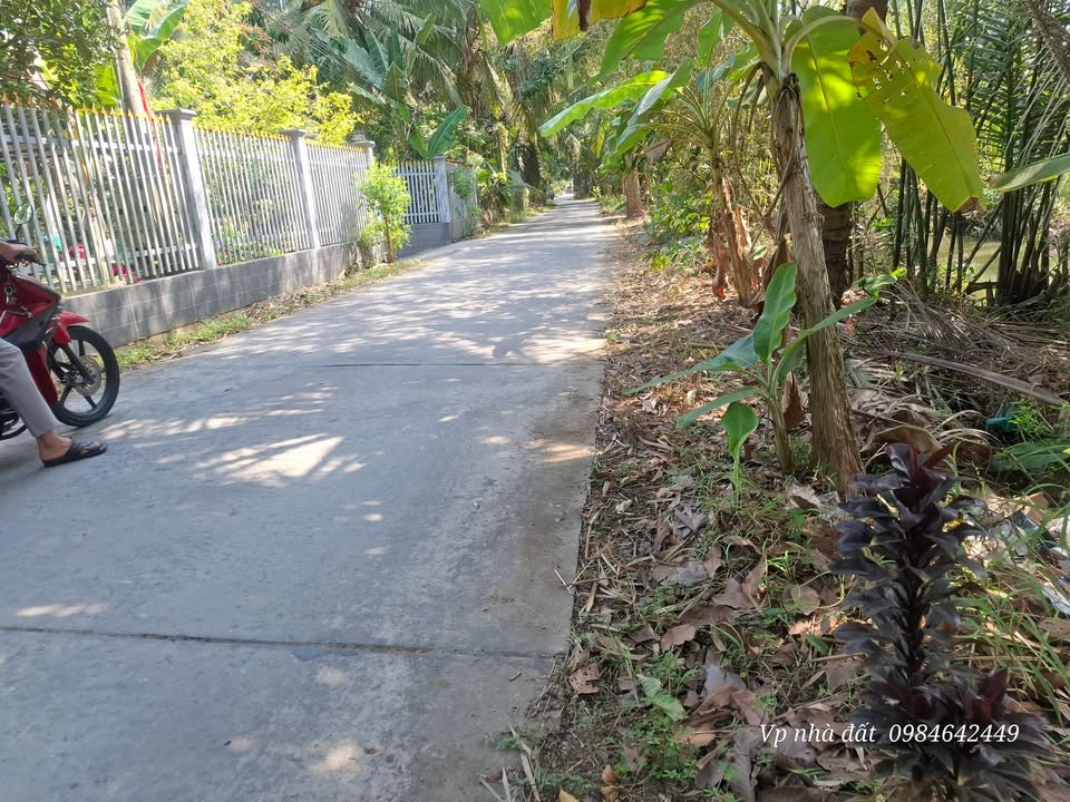 Đất Tặng Nhà 1600m² Giá 890 Triệu Tại Mỏ Cày Bắc, Bến Tre