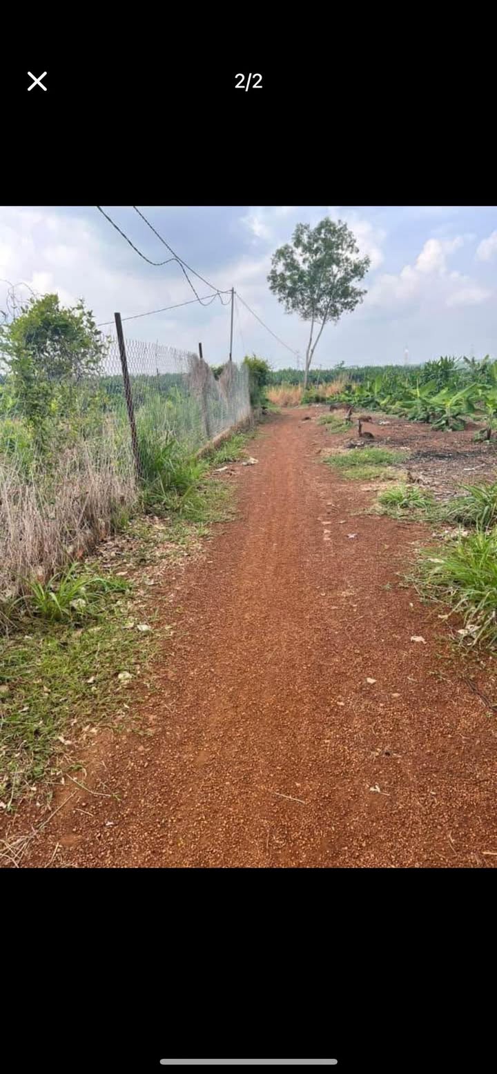 Đất nền Thống Nhất 1692m² giá 2 tỷ - Sổ đỏ chính chủ!