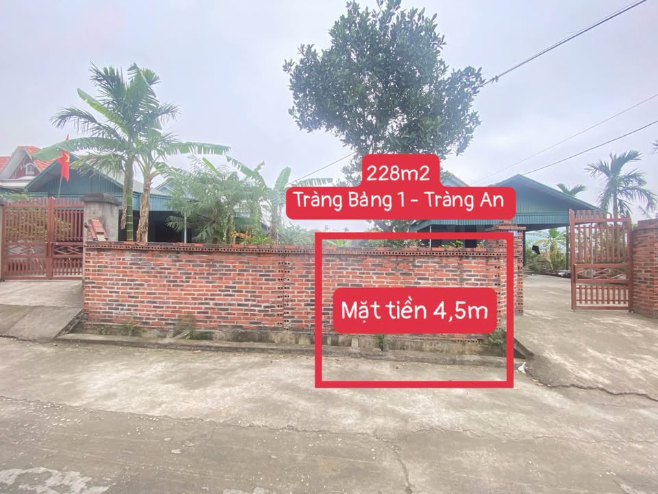 Đất nền Đông Triều 228m² giá 600 triệu - Sổ đỏ chính chủ!