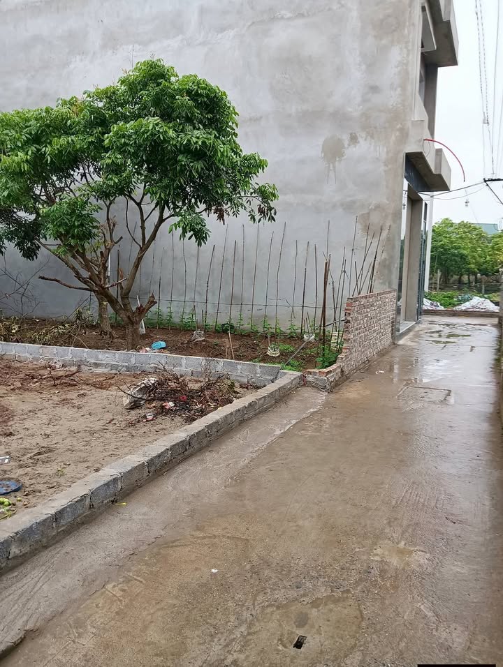 Đất nền Thư Phú, Thường Tín 54.9m² - Đầu tư sinh lời vượt trội!