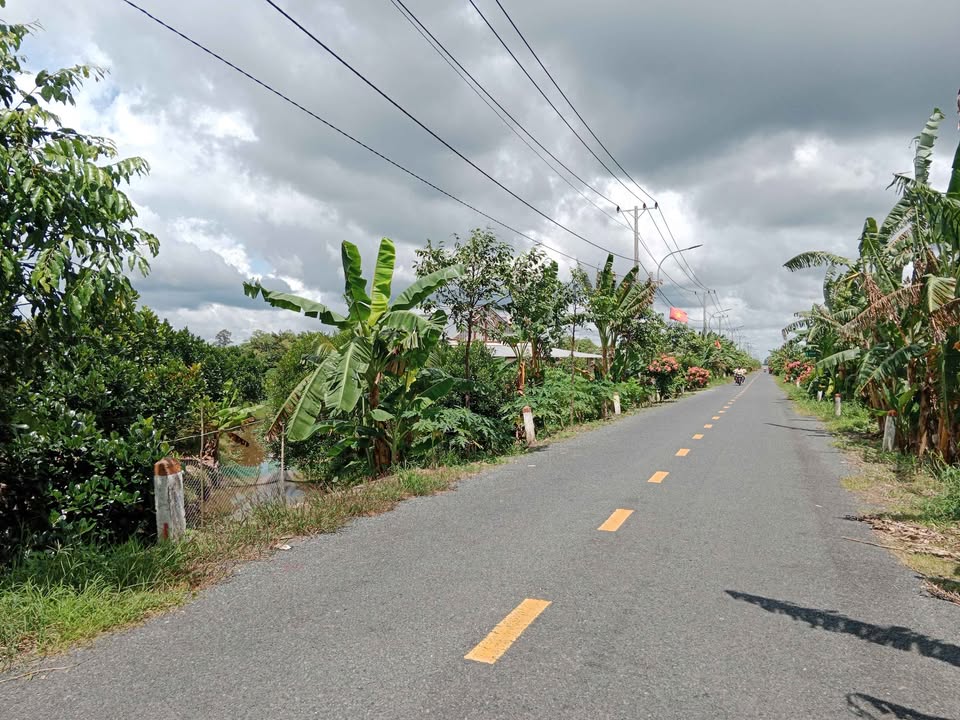 Bán Đất Vườn 5800m² Xã Phú Hữu, Hậu Giang - Sổ Hồng Riêng, Giá Tốt