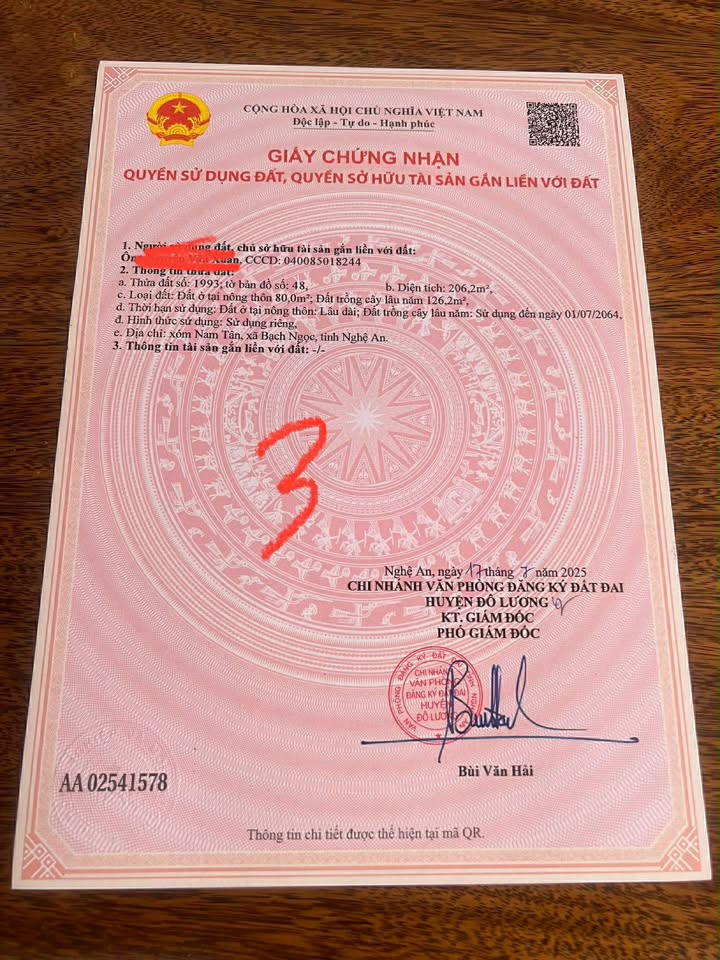 Đất nền Xóm Nam, Đô Lương 100m² - Cơ hội đầu tư sinh lời