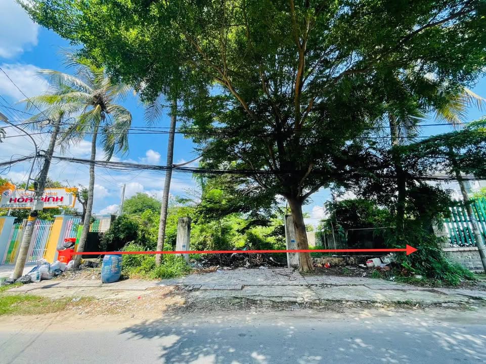 Bán Đất Củ Chi 981m² Sổ Hồng Riêng - Mặt Tiền Đường Nhựa Giá Tốt