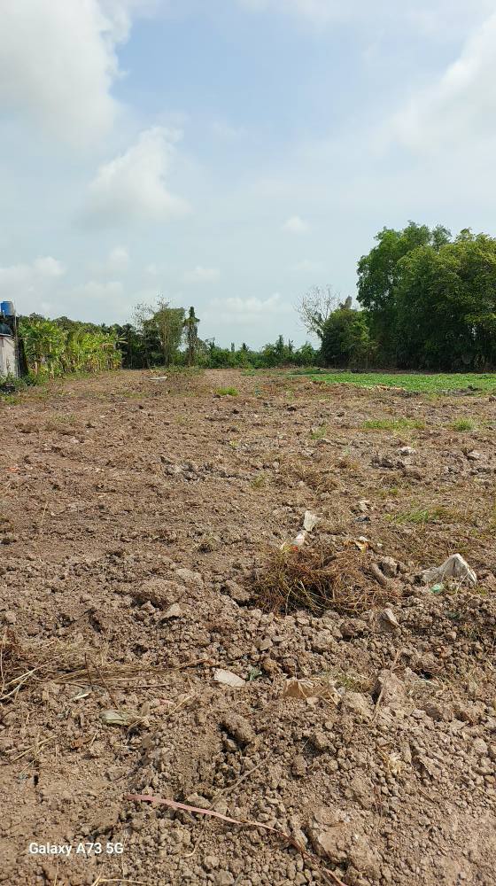 Đất nền Châu Thành Kiên Giang 4000m² giá 3.4 tỷ - Sổ đỏ chính chủ