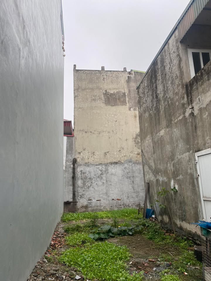 Bán đất Tam Hiệp, Thanh Trì 50m² - Sổ đỏ vuông vắn, ô tô gần