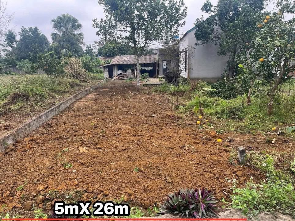 Đất nền Phú Lai Yên Thủy 129m² giá hơn 300 triệu - Full thổ cư!