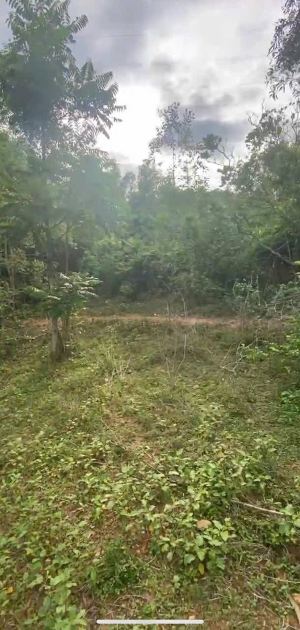 Đất Vườn Thôn Võ Tánh 1 Nha Trang 5.659m² - Sinh Thái Xanh, Giá Tốt!