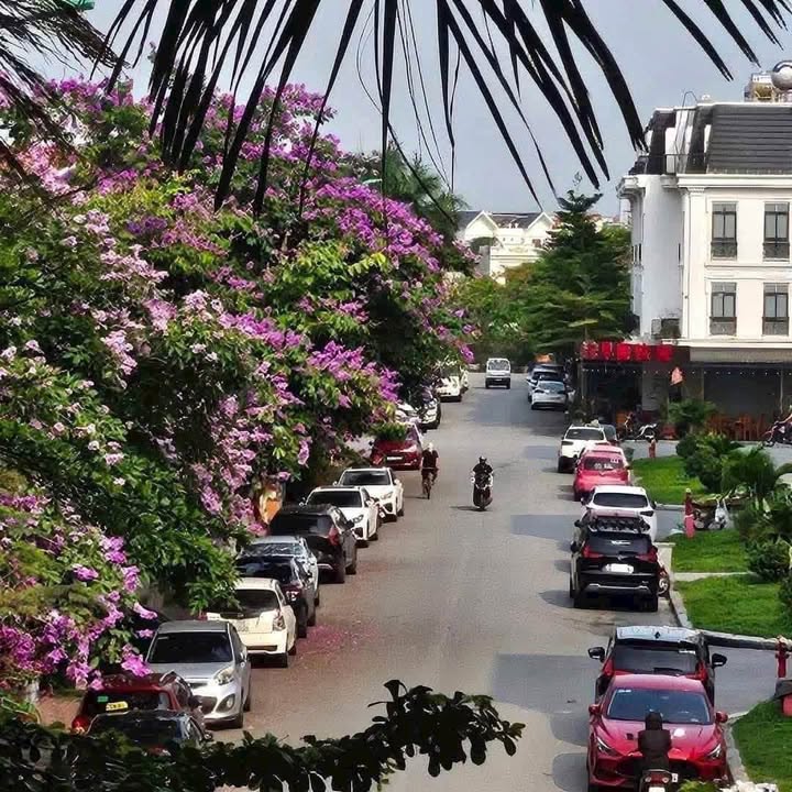 Căn hộ An Dương Hải Phòng 45m² giá 1 tỷ - Sổ đỏ trao tay ngay!