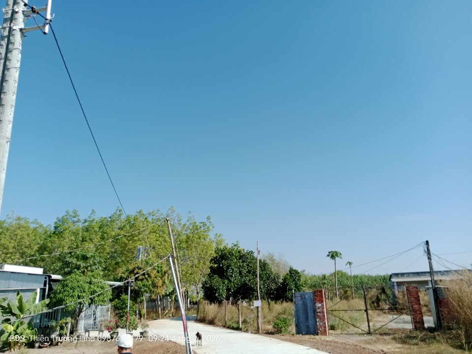 Đất Vàng Xuyên Mộc 560m² - Sổ Hồng Thổ Cư 100m² - Chỉ 999 Triệu