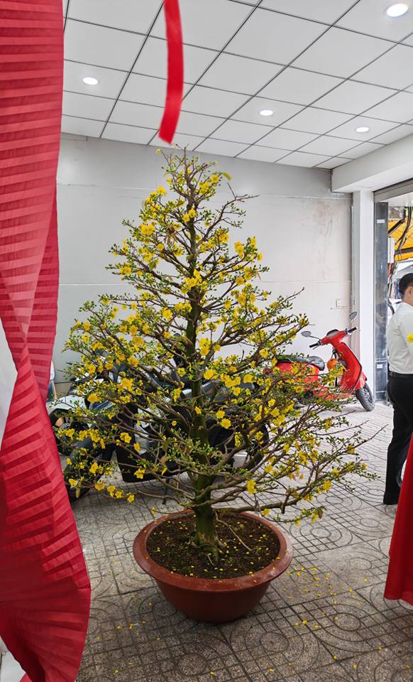 Nhà mặt tiền Nguyễn Văn Đậu, Phú Nhuận 68m² - Mặt tiền kinh doanh!