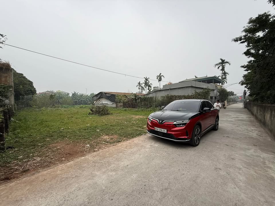 Bán đất nền Lý Nhân, Hà Nam 203m² - Sổ đỏ chính chủ, giá đầu tư tốt
