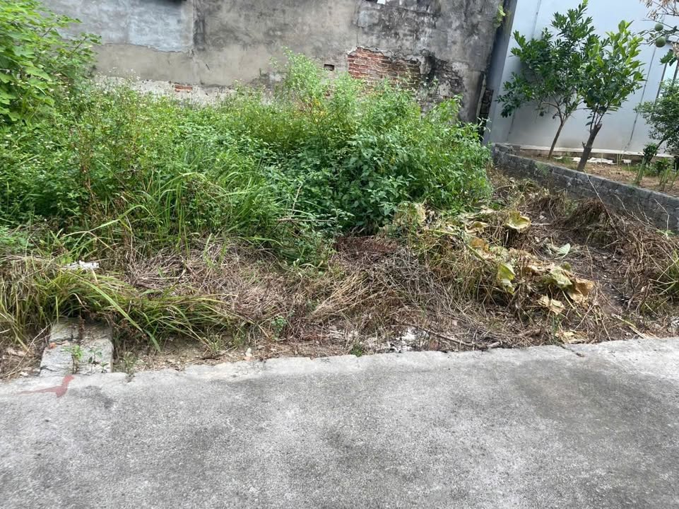 Đất nền Phú Cốc Hà Hồi 46.9m² - Sổ đỏ chính chủ, ô tô đỗ cửa!