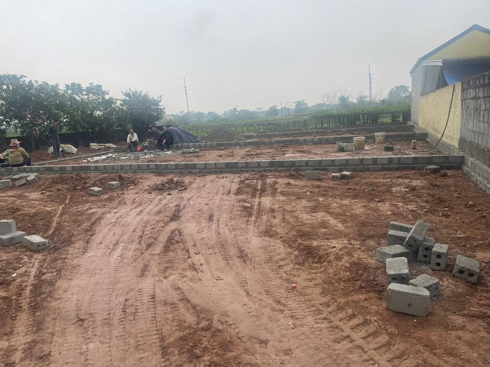 Đất nền F0 Thường Tín 80m² - Lô góc, kinh doanh cực tốt