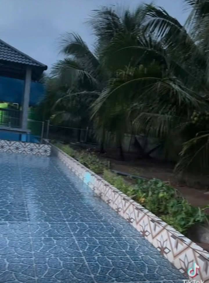 Bán Gấp Biệt Thự 1300m² Phong Nẫm, Bến Tre - Giá 3.3 Tỷ