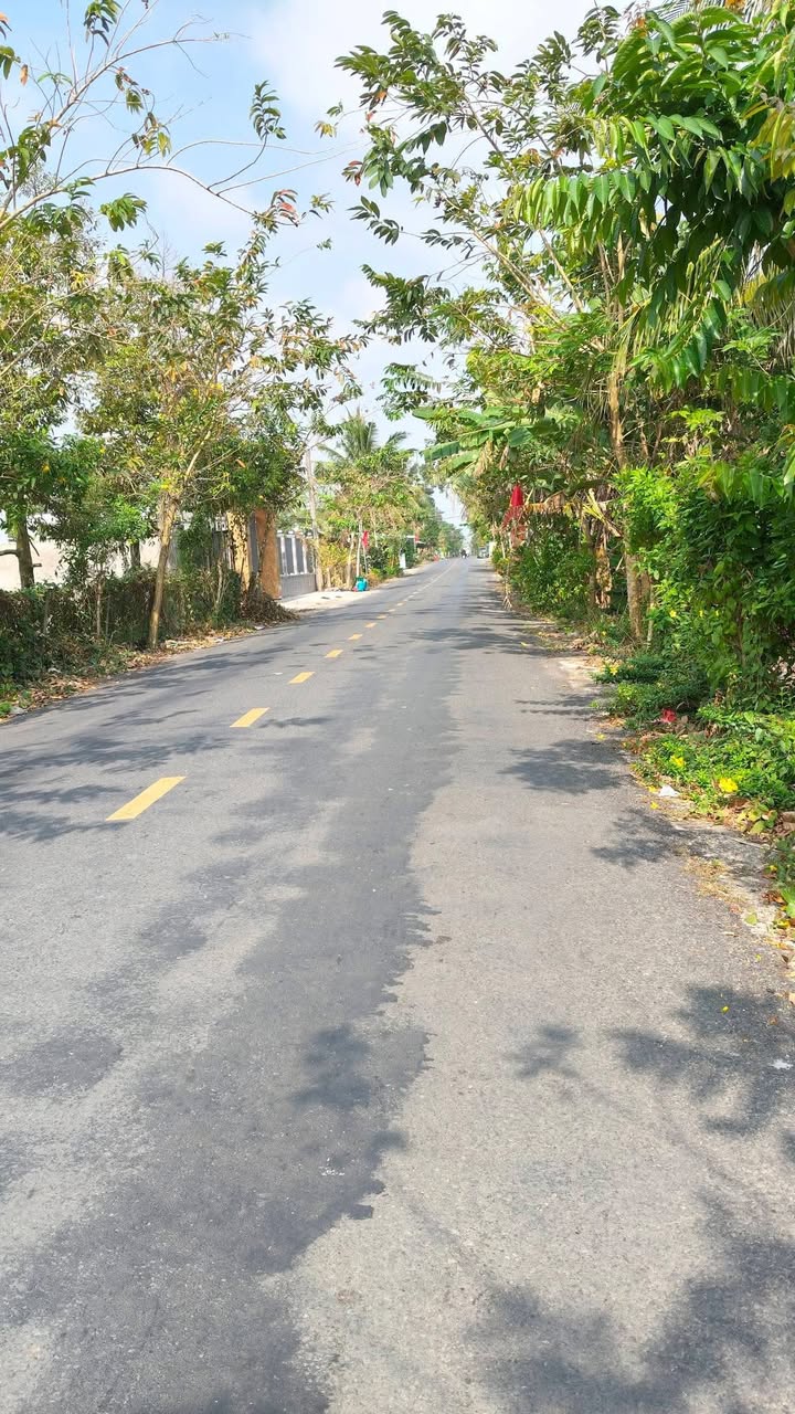 Đất nền Phú An Cai Lậy 357.6m² - Sổ đỏ chính chủ, giá 2.4 tỷ!