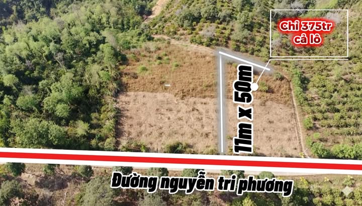 Đất nền Đắk Mâm, Krông Nô 550m² giá 375 triệu - Sổ đỏ chính chủ