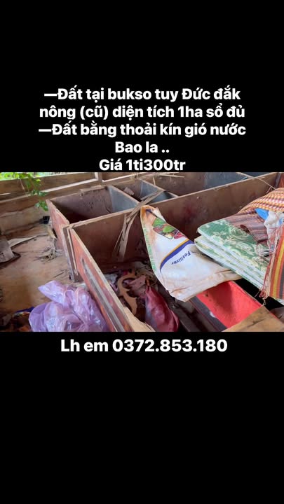 Đất nền Đắk Búk So 1ha giá 1.3 tỷ - Sổ đỏ chính chủ!