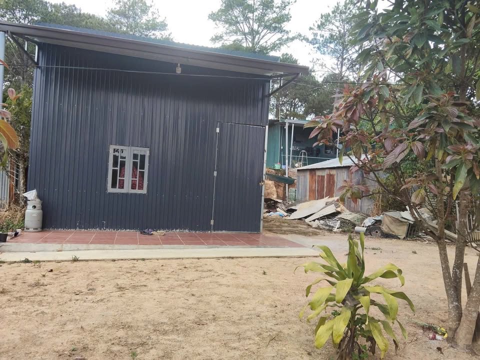 Bán Đất Tặng Nhà Phường 4 Đà Lạt 250m² - Sẵn Sàng Dọn Vào Ở Ngay!