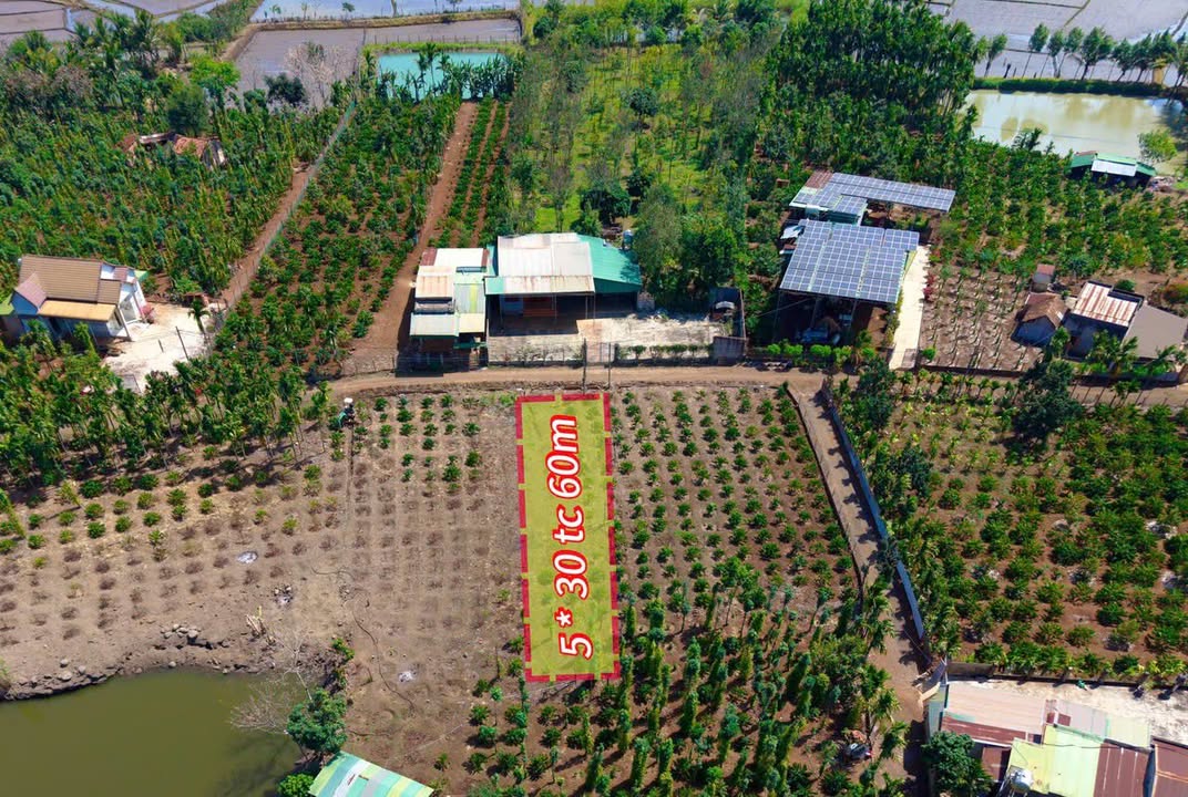 Đất nền Ea Ning, Cư Kuin 60m² - Giá chỉ 219 triệu, gần 3 chợ lớn