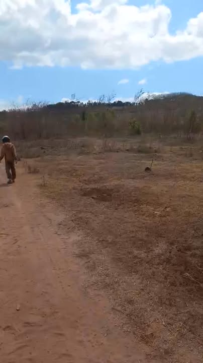 Đất Vườn Đắk Lắk 3 Hecta Xã Ea Wer - Sổ Đỏ Riêng, Giá Đầu Tư 1.35 Tỷ