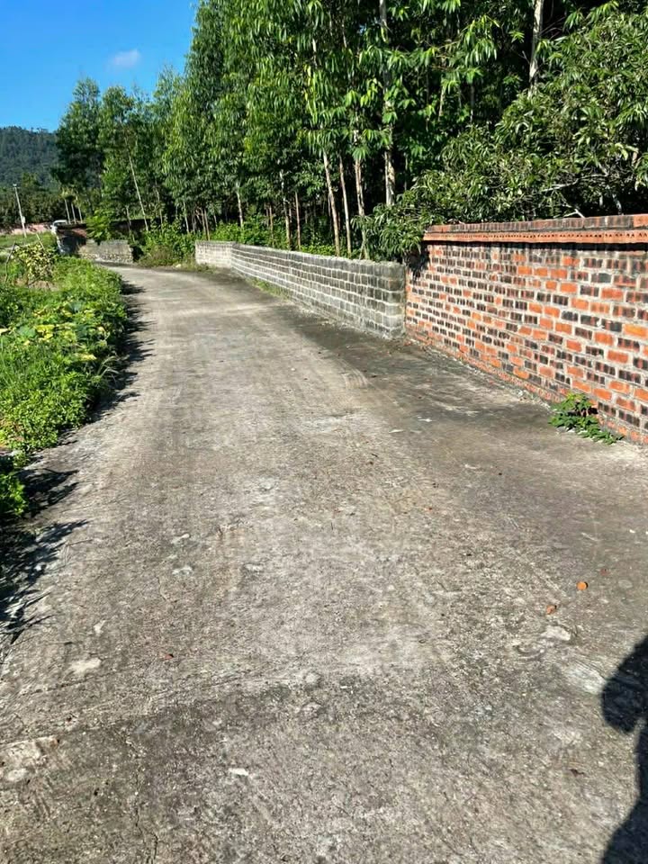 Đất nền Lê Lợi, Chí Linh 142m² - Sổ đỏ chính chủ