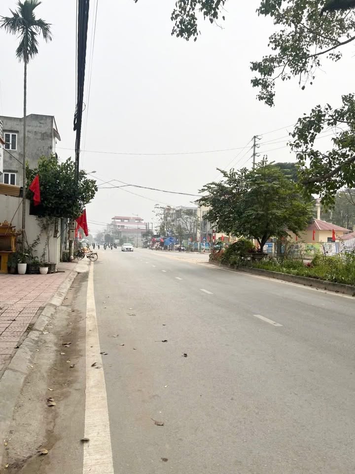 Đất Vĩnh Phúc: Mặt Tiền ĐT304 Tân Phú 210m² - Kinh Doanh Sầm Uất, Giá 6.5 Tỷ