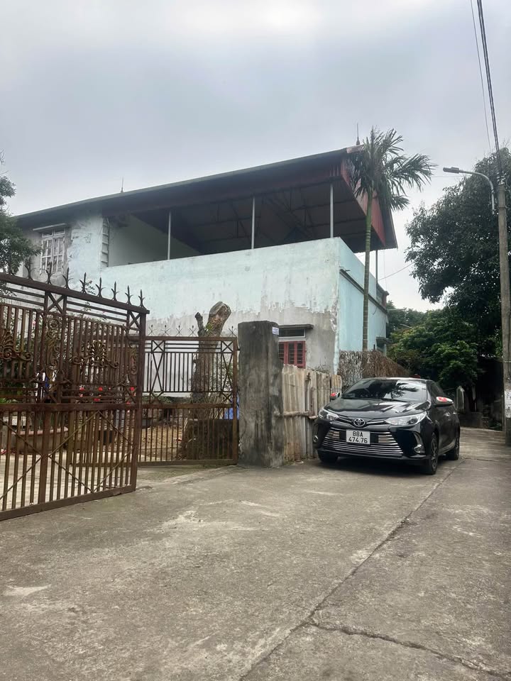 Bán Đất Núc Hạ Tam Đảo 115m² - Sổ Hồng Sẵn Sàng - Giá Đầu Tư 1 Tỷ