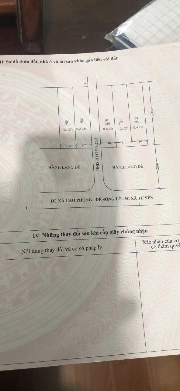 Bán đất Sông Lô, Vĩnh Phúc 187m² Sổ đỏ, Mặt tiền 7m - Đầu tư sinh lời