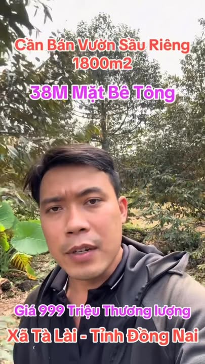 Bán Gấp Vườn Sầu Riêng 1800m² Mặt Tiền Bê Tông 38m - Xã Tà Lài, Đồng Nai