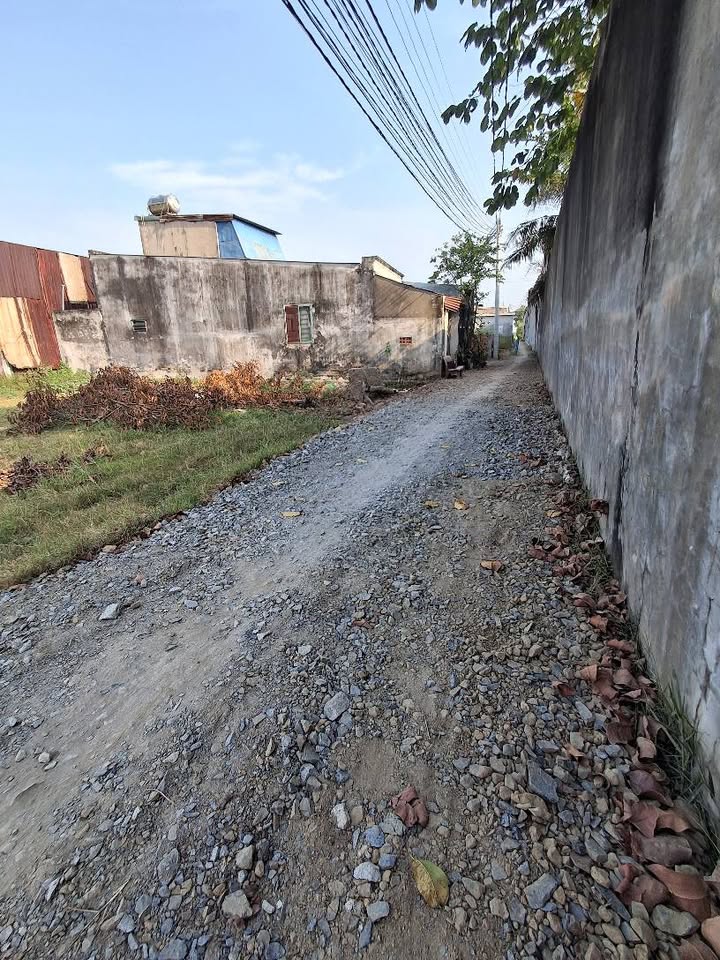 Đất nền Mỹ Hạnh Bắc 60m² giá 750 triệu - Sổ hồng chính chủ