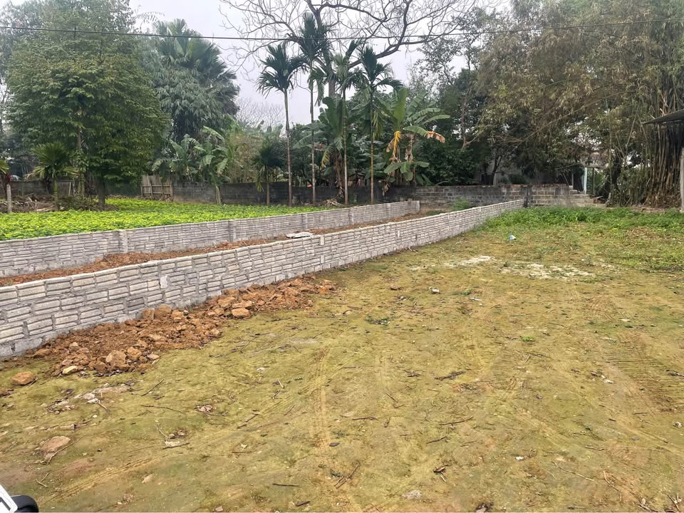 Đất nền Kim Phú, Tuyên Quang 100m² - Đường to ô tô, sổ hồng sẵn!