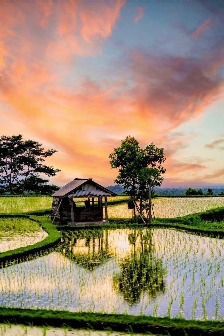 Đất Nền Mộc Châu 1399m² - View Đồng Lúa, Gần Happyland, Giá Đầu Tư 3 Tỷ