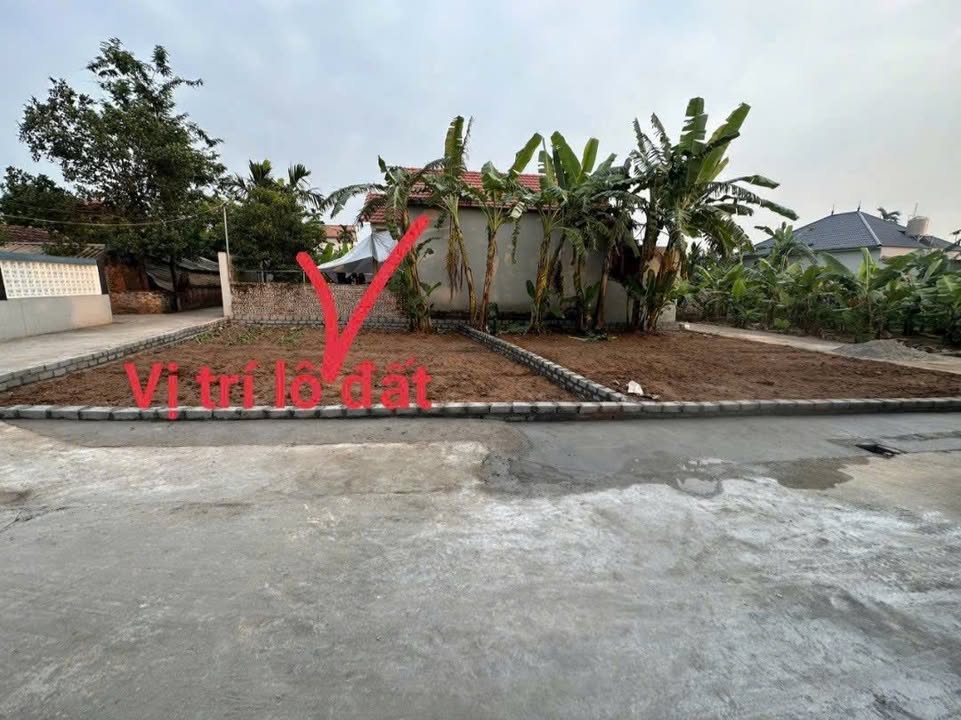 Đất Nền Lô Góc 80m² Mỹ Hào, Hưng Yên - Đường Ô Tô Rộng Rãi