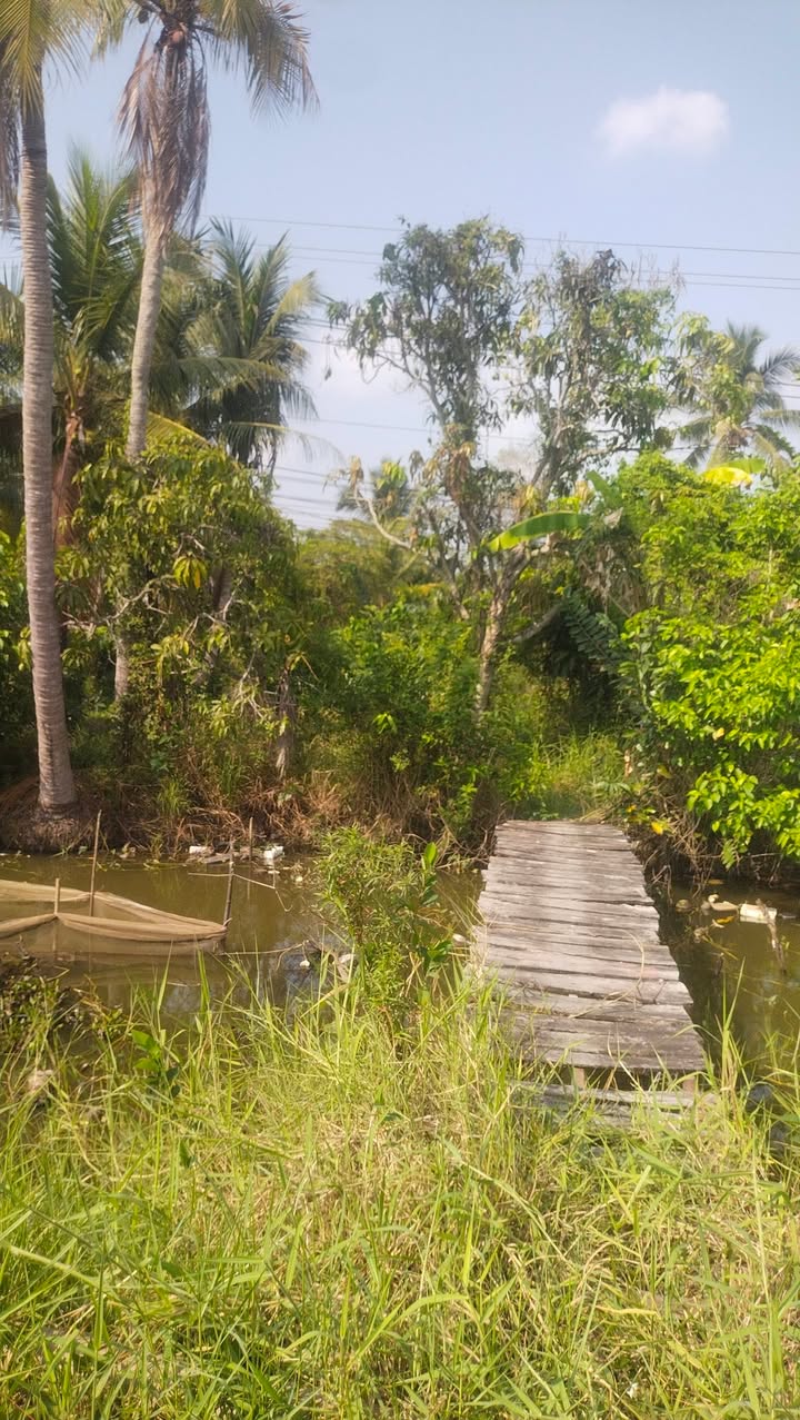 Đất Nền Vị Thủy Hậu Giang 185m² - Sổ Đỏ Chính Chủ, Pháp Lý Rõ Ràng