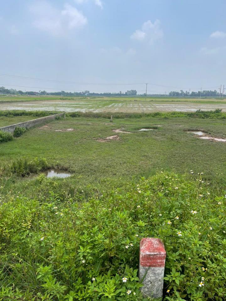 Đất nền Yên Khang Ý Yên 120m² Sổ đỏ chính chủ - Vị trí vàng!