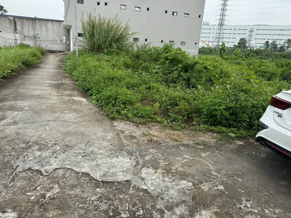 Đất Lô Góc Hoàng Lâu, Hải Phòng - 61.5m² Sẵn Sổ