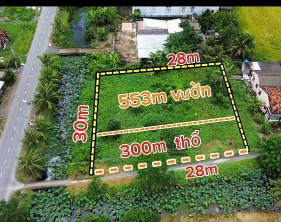 Đất Vườn Góc Lô 300m² Mặt Tiền Kênh 19/5, Cần Đước, Long An - Giá 3.85 Tỷ