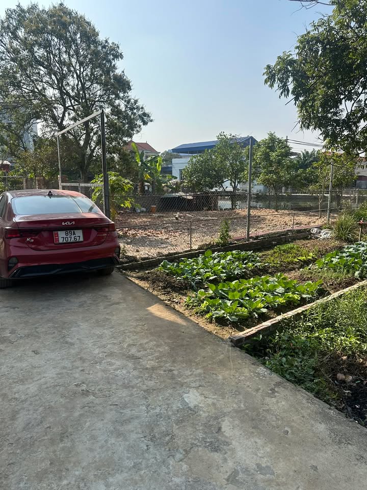 Đất nền Thôn Trung Hòa Yên Mỹ 55m² - Sổ đỏ chính chủ, tiềm năng tăng giá!