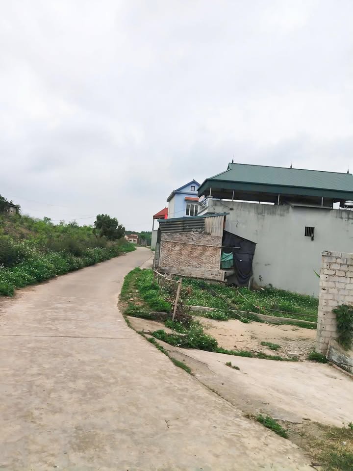 Đất nền Nam Dương Lục Ngạn 134m² chỉ 600 triệu - Sổ đỏ chính chủ