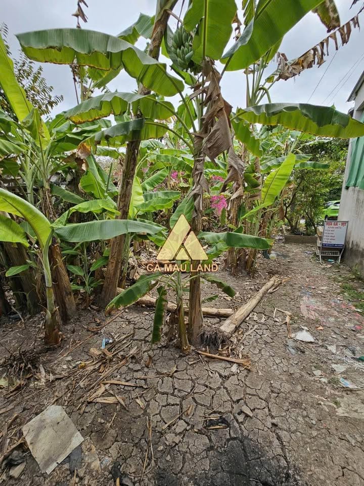 Đất Vườn Kênh Lễ Quyền - 350m² Giá Tốt 1.1 Tỷ - Sổ Đỏ Rõ Ràng