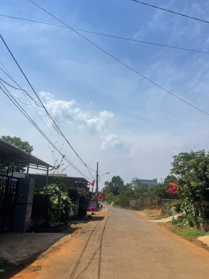 Đất nền Tuy Đức 1600m² giá 1.25 tỷ - Tiềm năng tăng giá vượt trội!