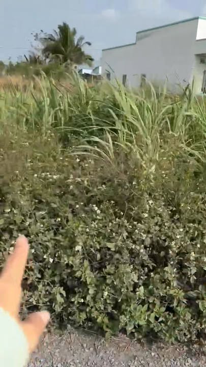 Đất nền Gò Công 335m² giá 900 triệu - Pháp lý rõ ràng