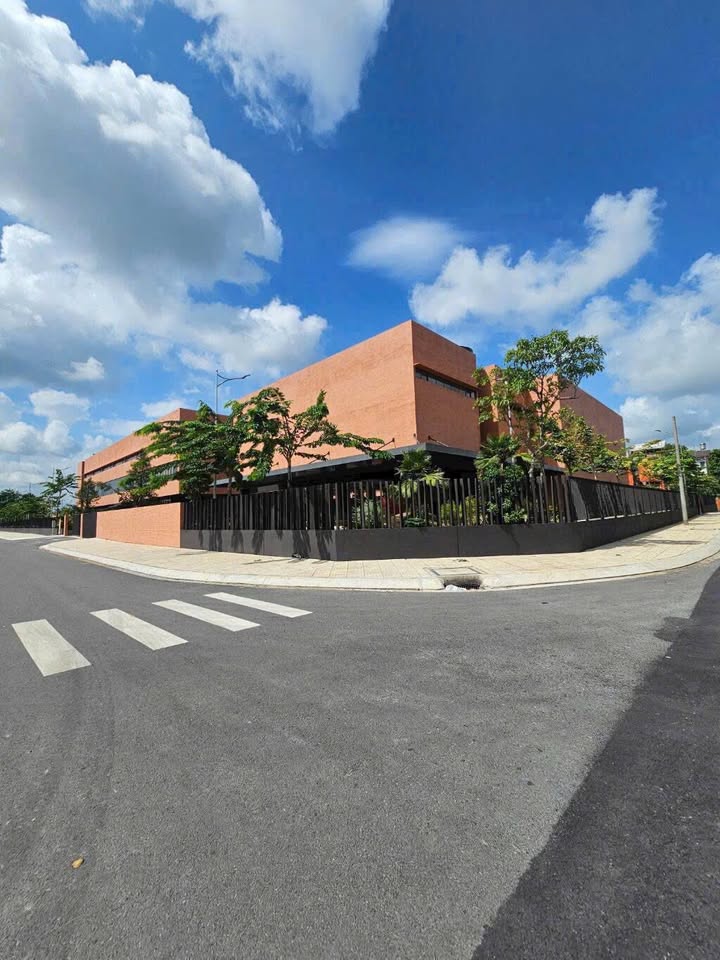 Đất nền Bình Chánh 273m² - Xây dựng tự do, Sổ hồng riêng!