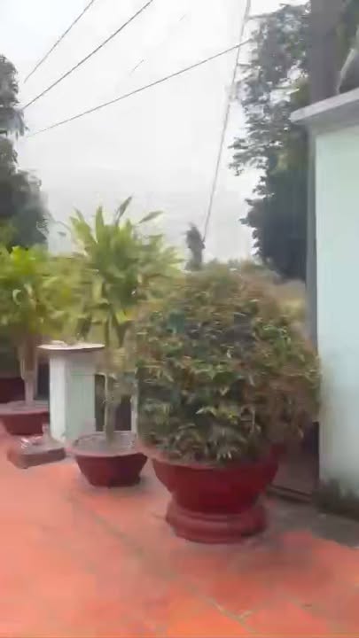 Bán nhà cấp 4 Thái Mỹ Củ Chi 640m² giá 2.7 tỷ - Vị trí đẹp!