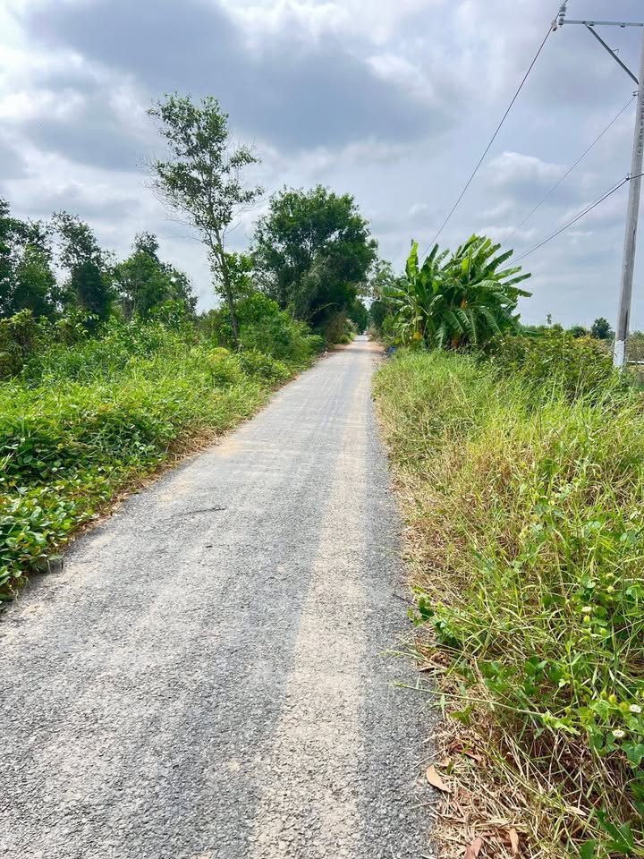 Đất nền Tân Phước 2, Đồng Tháp 85.000m² - Tiềm năng tăng giá vượt trội!