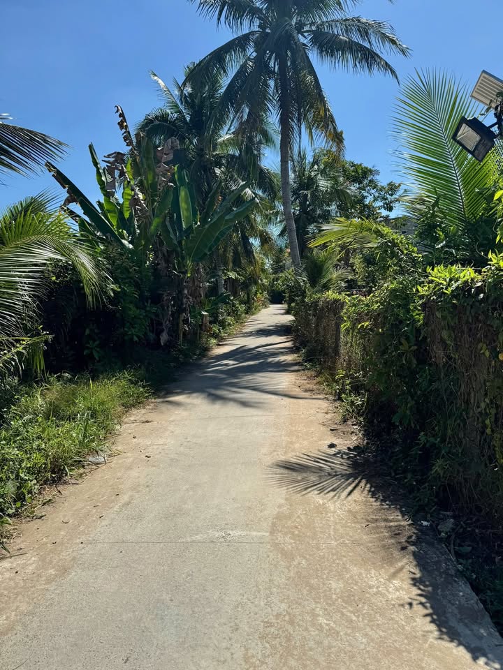 Đất Nền 115m² Sổ Đỏ Tại Cai Lậy, Tiền Giang - Giá Tốt 400 Triệu